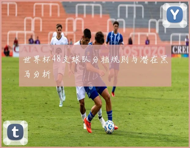 世界杯48支球队分档规则与潜在黑马分析