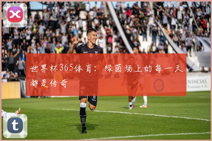 世界杯365体育：绿茵场上的每一天都是传奇