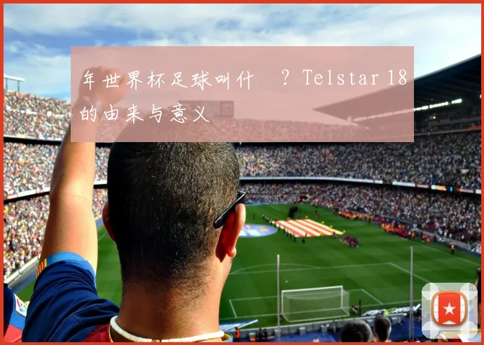 年世界杯足球叫什麼？Telstar 18的由来与意义