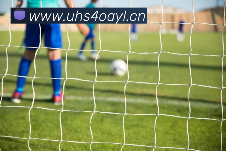 华会体育app官网发展历程